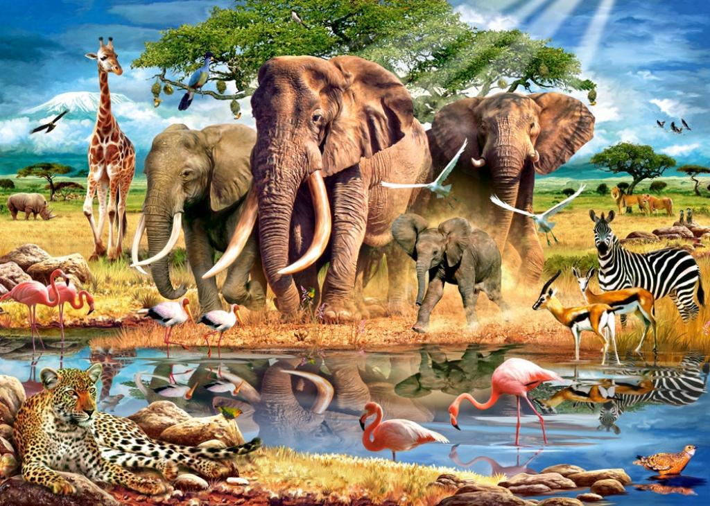 животный мир Африки