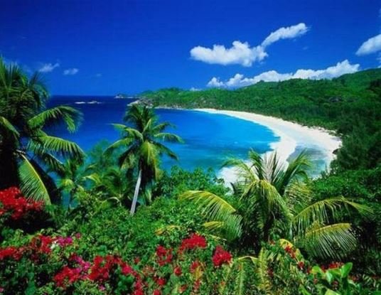 Самые красивые места Сейшельских островов.