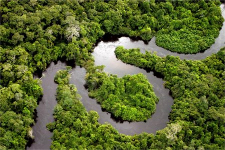 Великая Амазонка — уникальная водная артерия планеты.