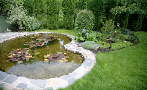 Как сделать водоем в саду?