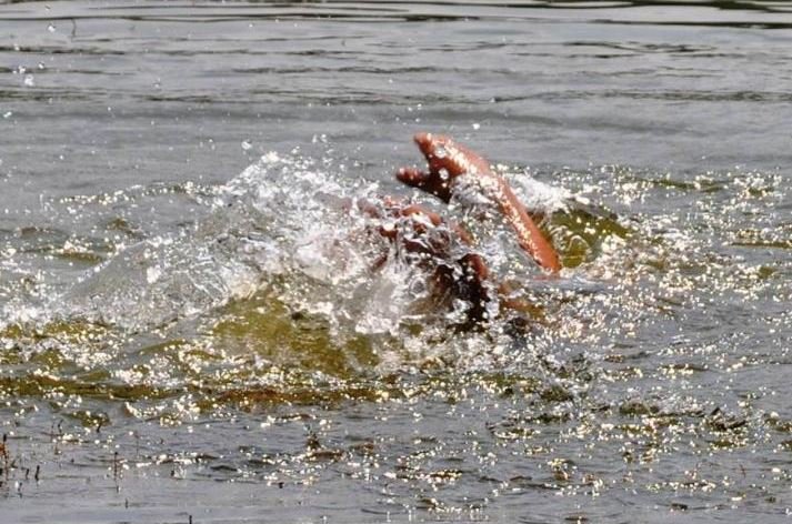 Молодой человек утонул в озере в Витебском районе