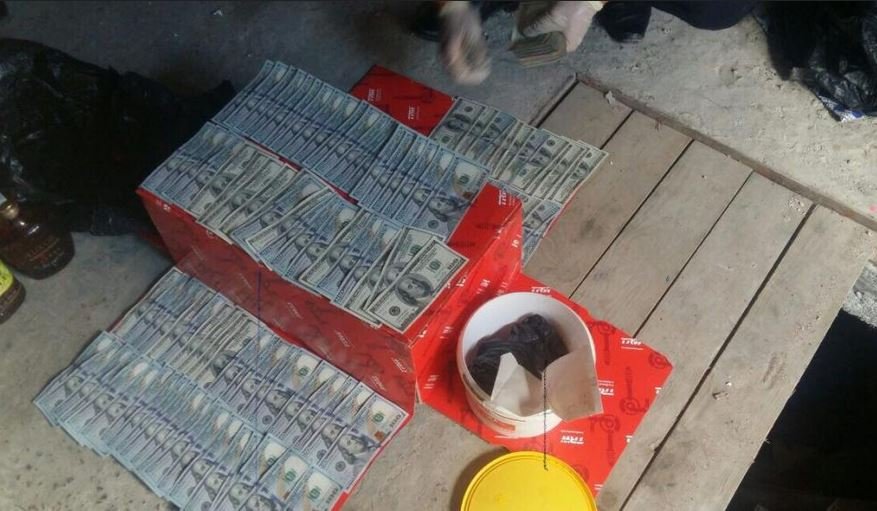 Милиционеры нашли ведро с золотом и долларами под Житковичами