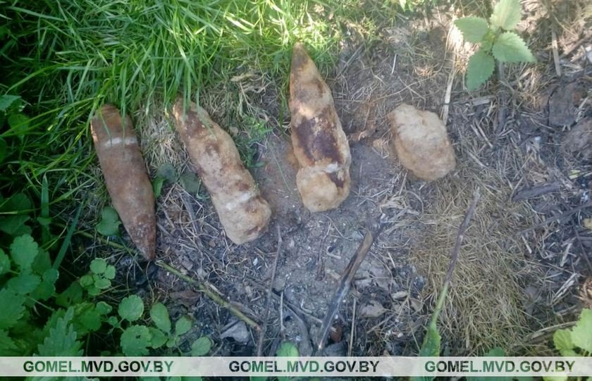 В Лоевском районе дачник нашел боеприпасы