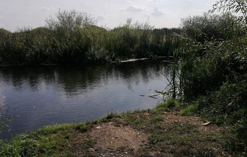 В Слуцке на берегу реки женщина нашла тело мужчины