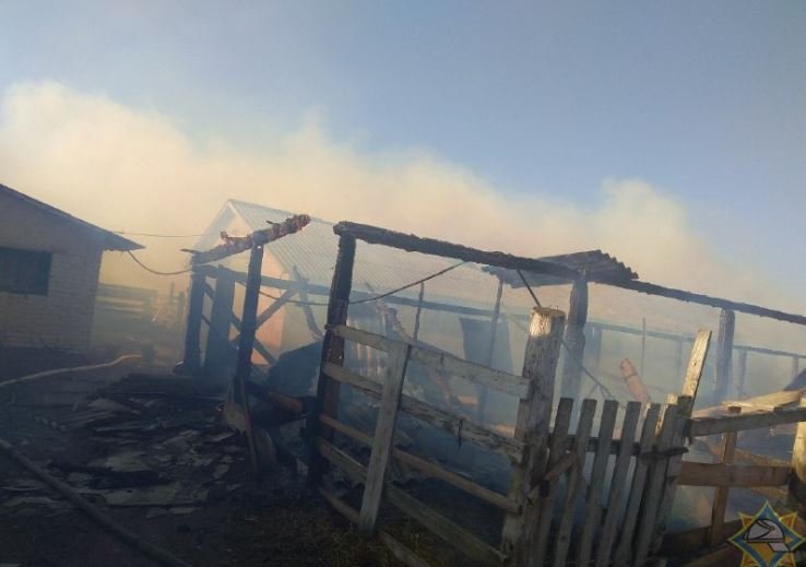 В Копыльском районе сгорел телятник