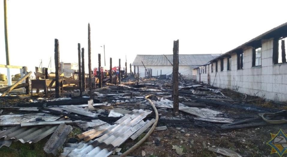 В Копыльском районе сгорел телятник