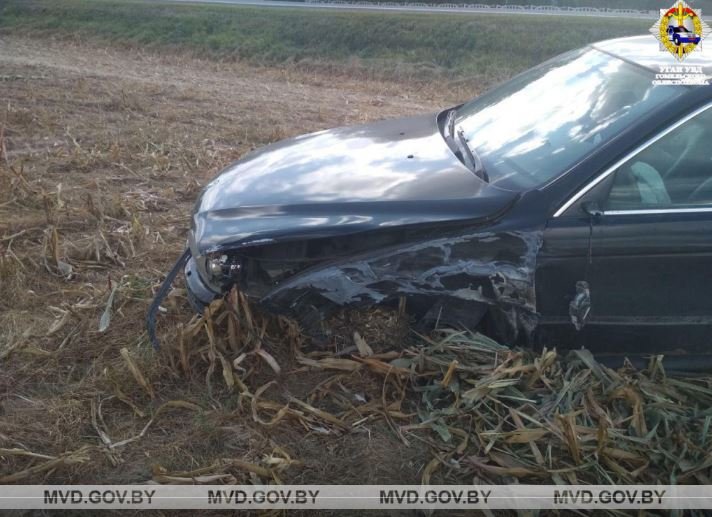 В Светлогорском районе в лобовом ДТП погиб водитель