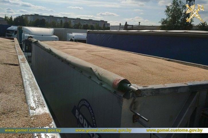 В Беларусь пытались нелегально ввезти десятки тонн арбузов и пшеницы
