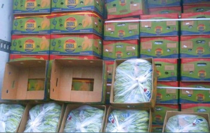Таможня не пустила в Беларусь более 100 тонн бананов из России