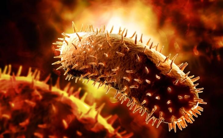 The Telegraph назвал два необычных симптома омикрон-штамма коронавируса