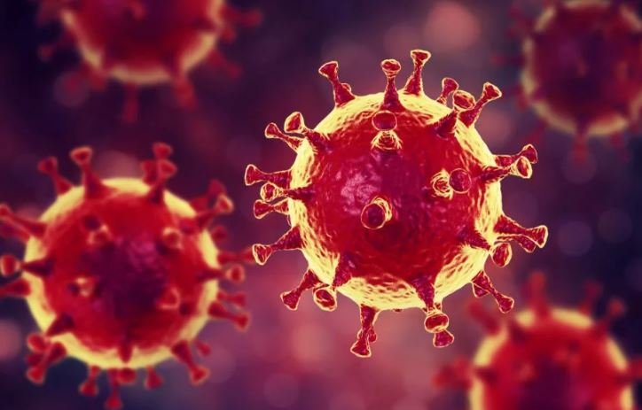 Самые опасные вирусы 20 века: коронавирус, испанка, грипп