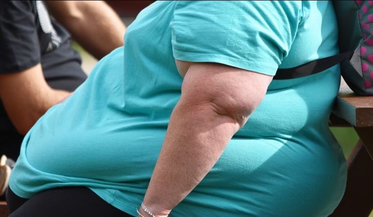 ВОЗ: более 800 миллионов человек в мире страдают от ожирения 