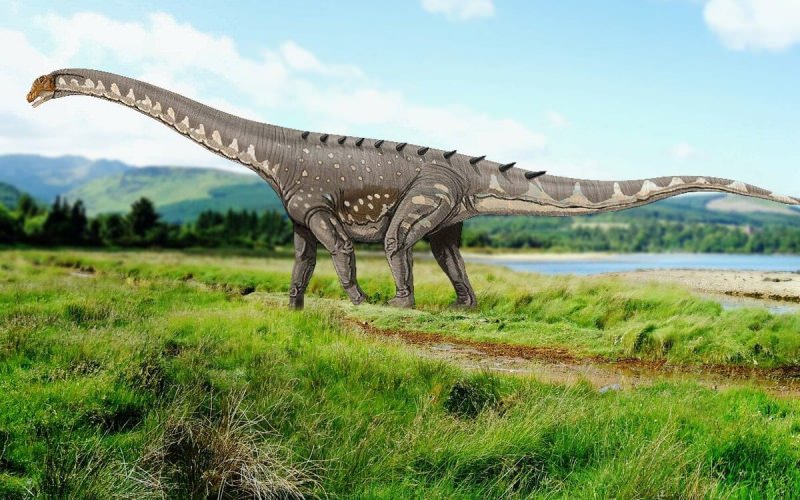 Палеонтологи обнаружили останки самого большого динозавра
