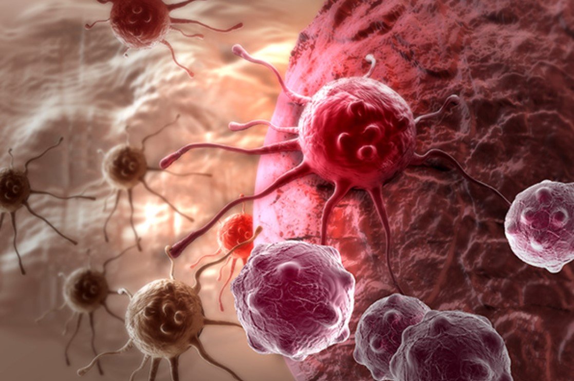 Американские ученые нашли способ борьбы с раковыми клетками