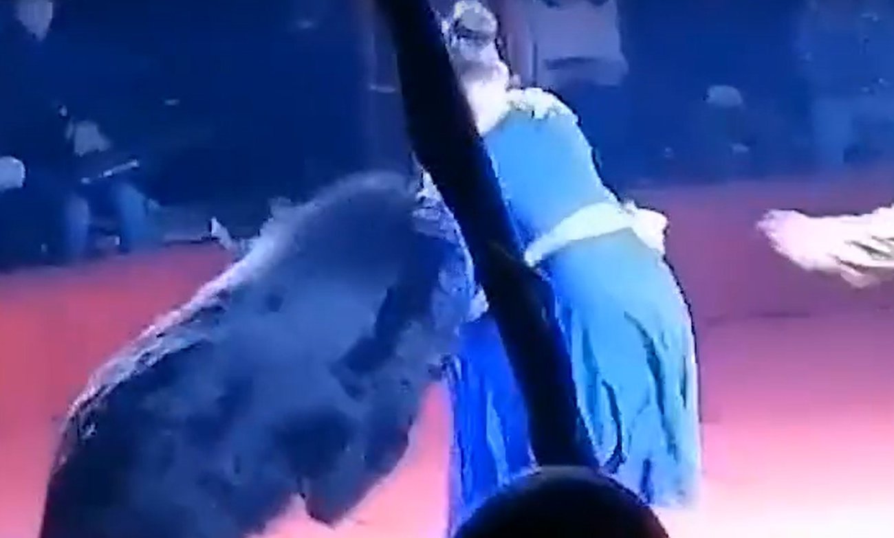Дрессированный медведь напал на беременную сотрудницу цирка во время представления в Орле