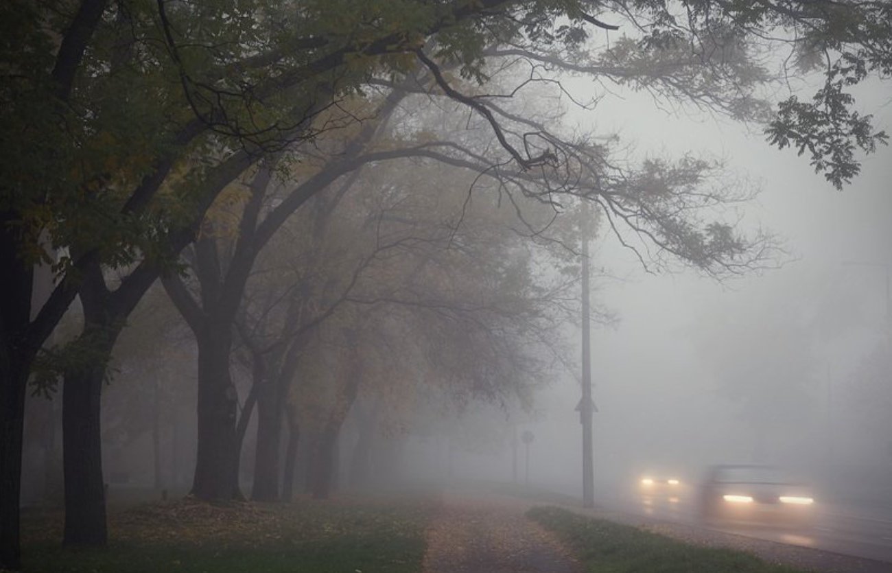 Погода в Беларуси на 10 ноября: желтый уровень опасности из-за туманов