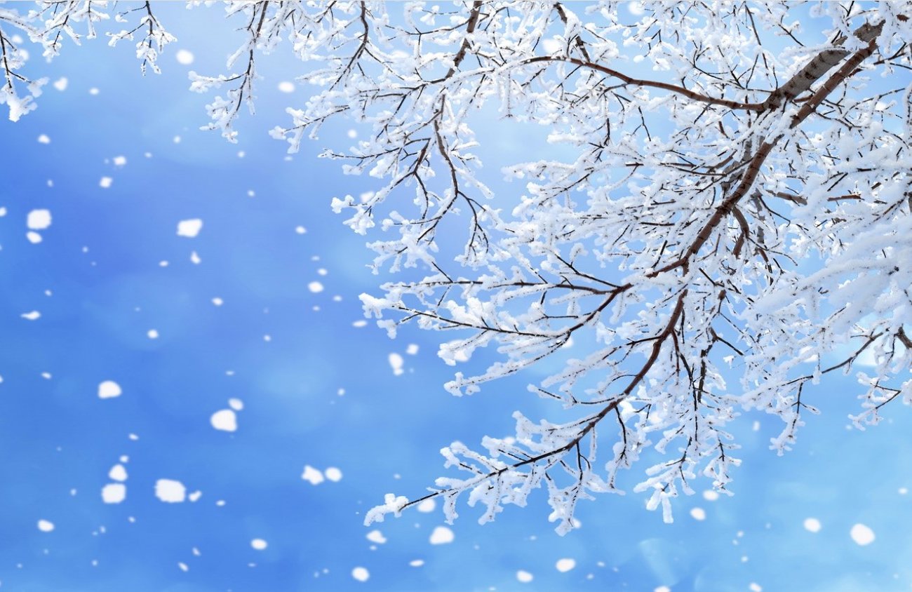 «Прелюдия зимы»: синоптик Рябов рассказал о погоде в Беларуси с 13 по 19 ноября