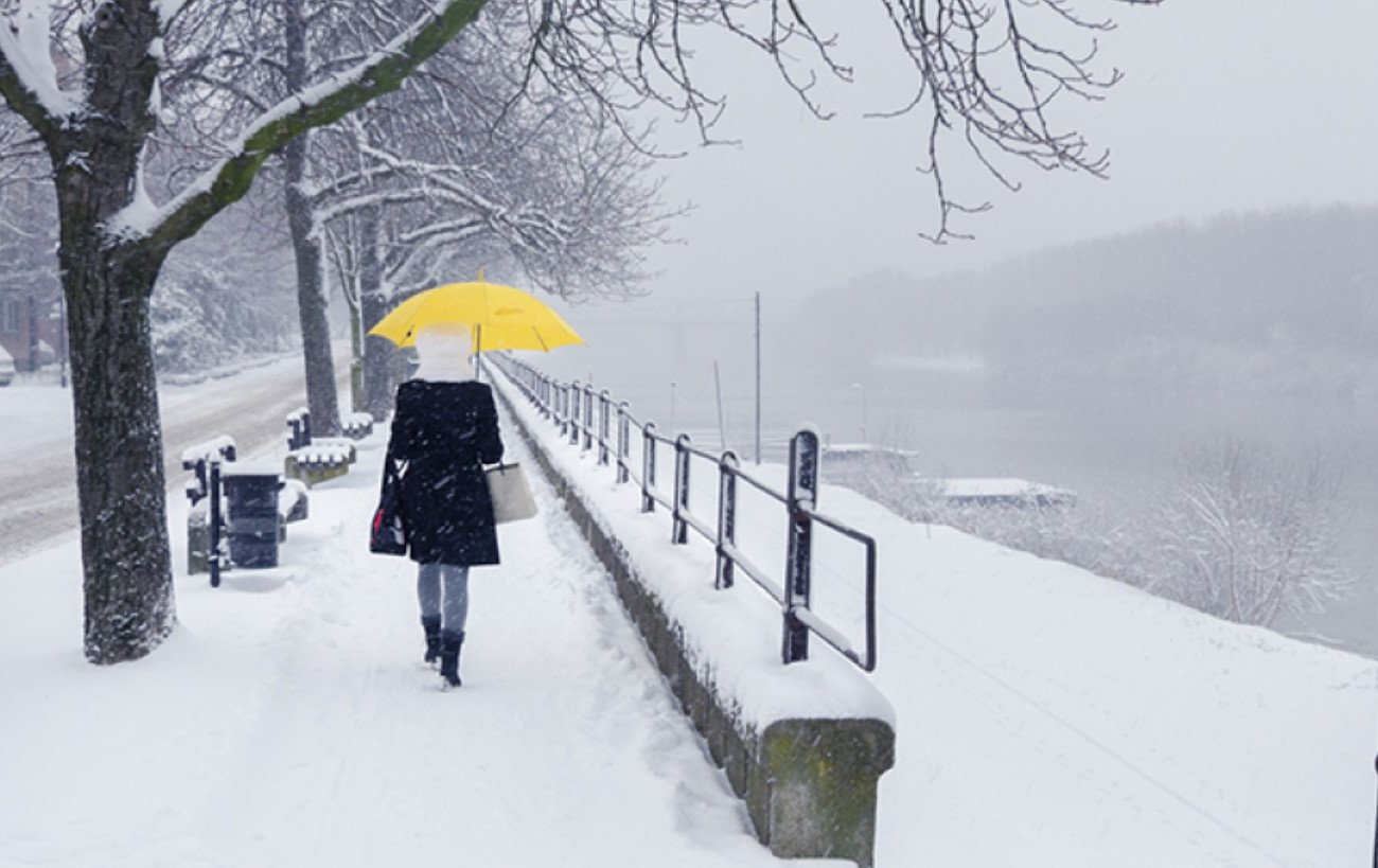 Зима закрепляется: метеорологи рассказали о погоде в Беларуси на 24 ноября