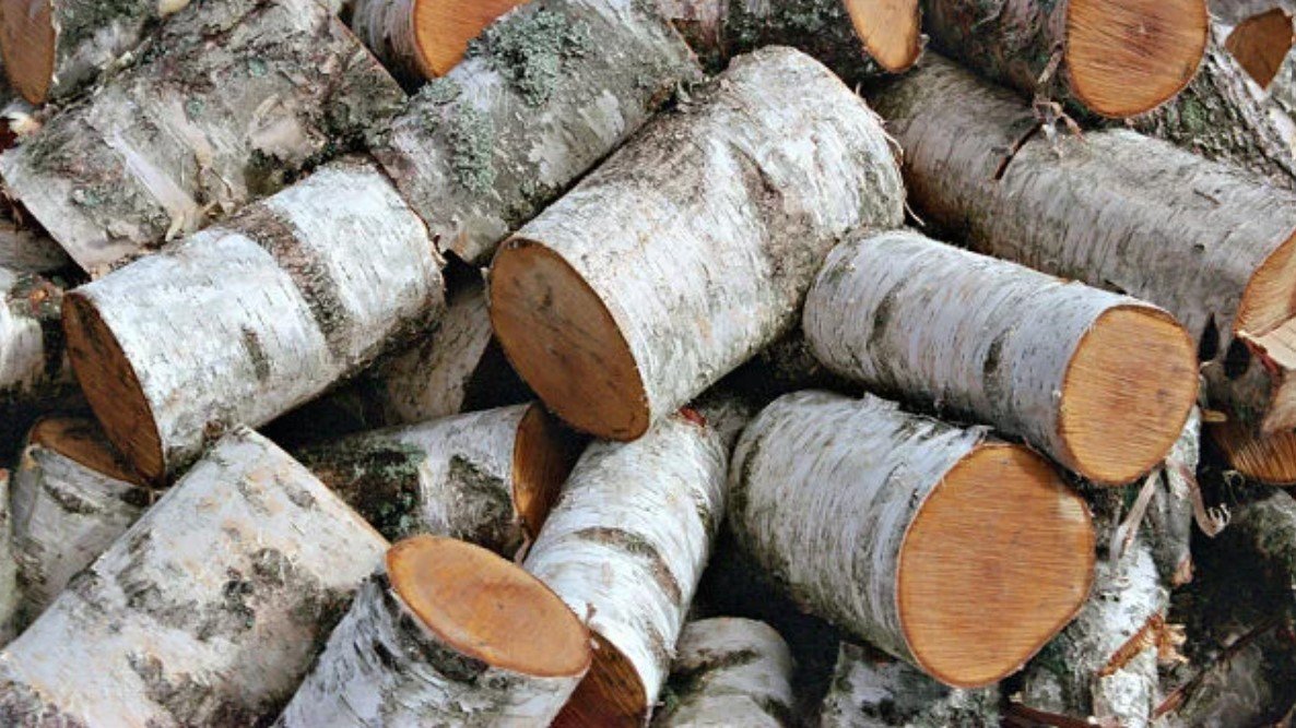 Минлесзох разрешил гражданам запастись дровами за счет поваленных деревьев