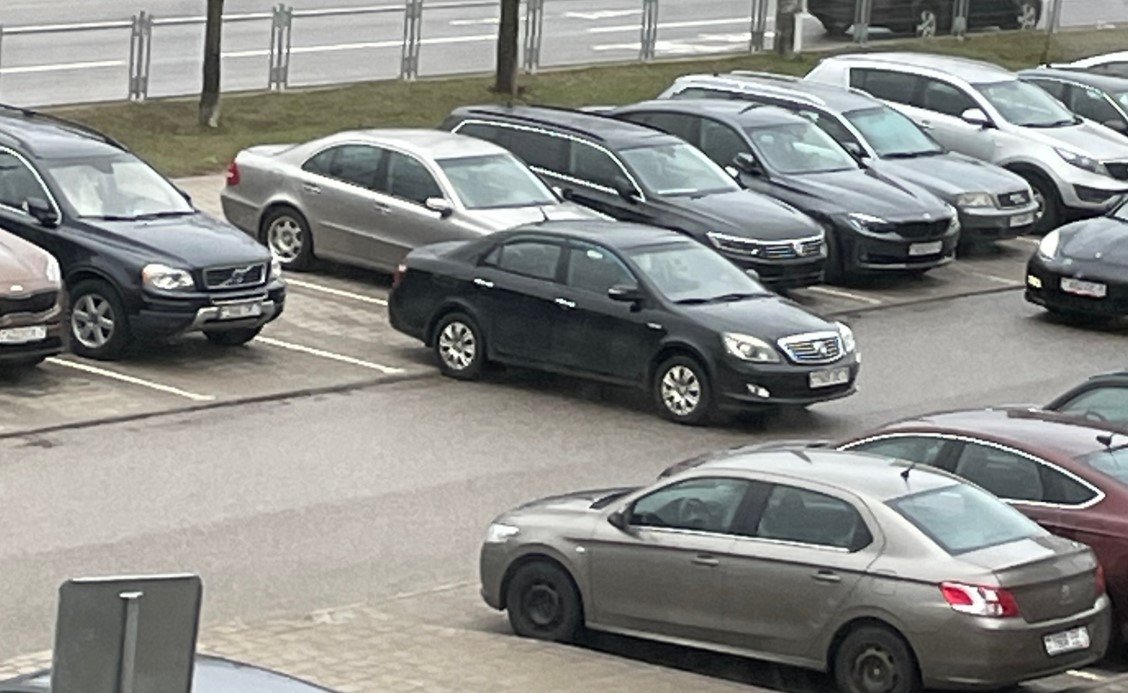 Автомобилист припарковался возле МФК «Мандарин» и удивил всех посетителей