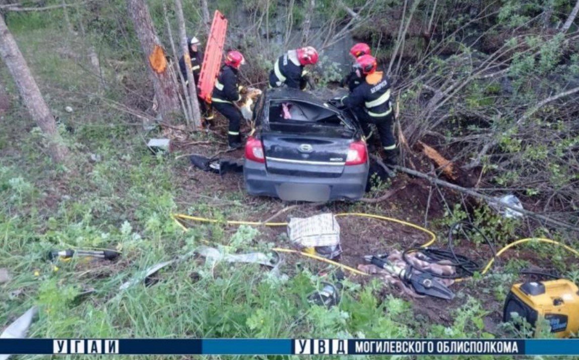 Пассажир автомобиля погиб в ДТП с лосем в Славгородском районе