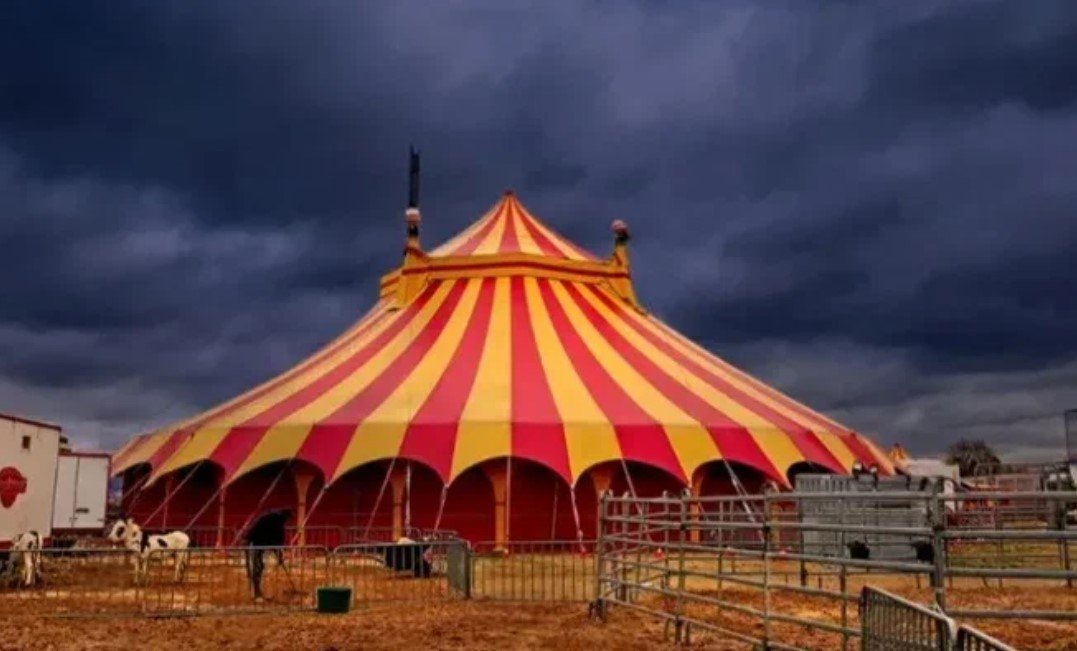 В Ленобласти во время представления цирка обрушилась трибуна со зрителями