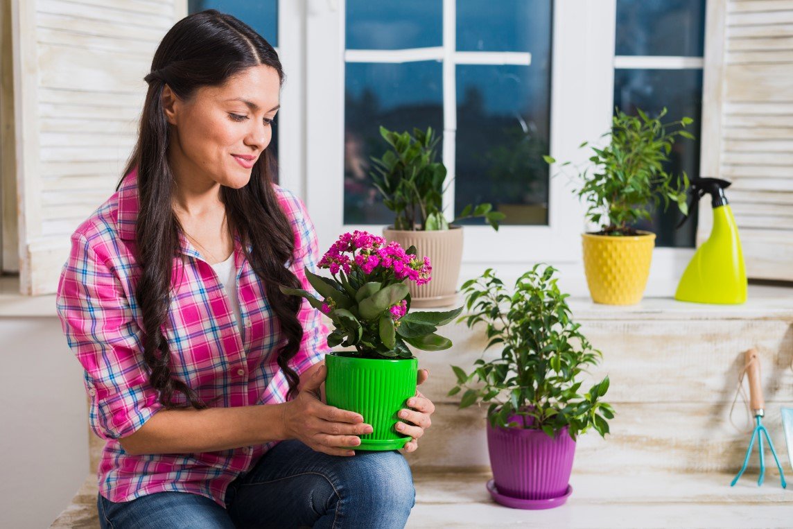 «Благополучие в доме»: какие комнатные цветы несут положительную энергетику 
