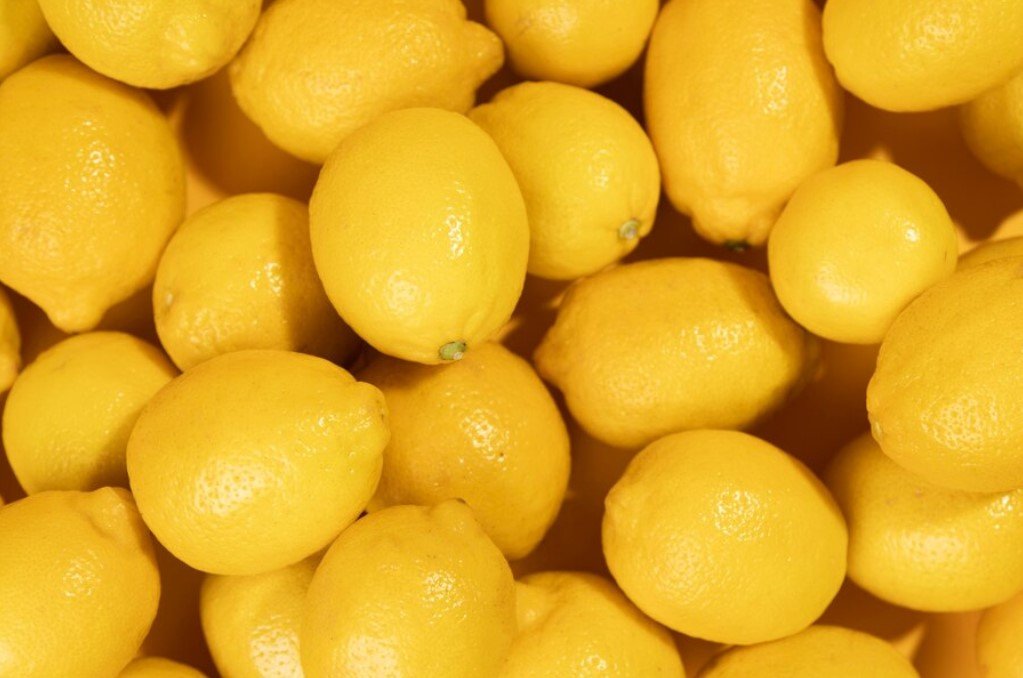 Как правильно хранить лимоны, чтобы они дольше оставались свежими
