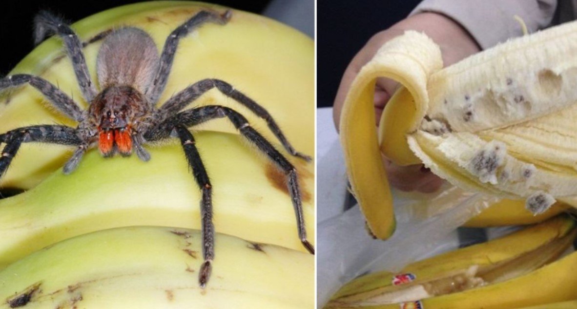 Какие бананы опасно покупать в магазине: обратите внимание на внешний вид