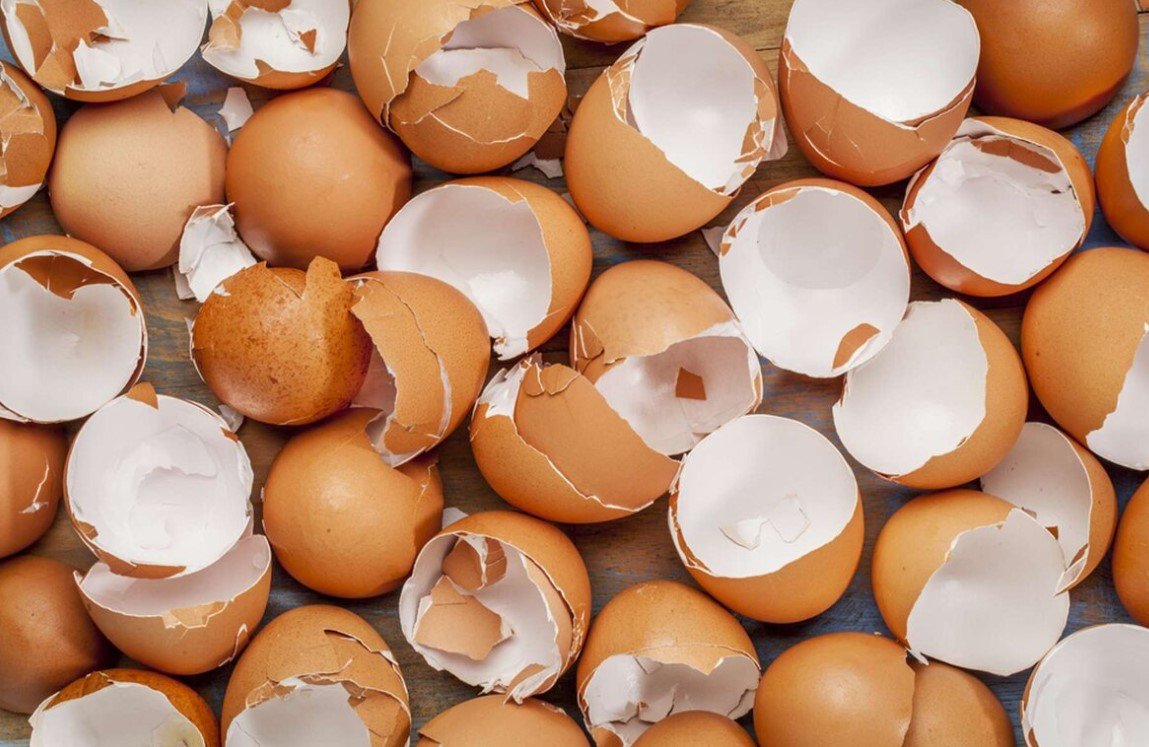 Не выбрасывайте яичную скорлупу: 10 полезных способов применения в быту
