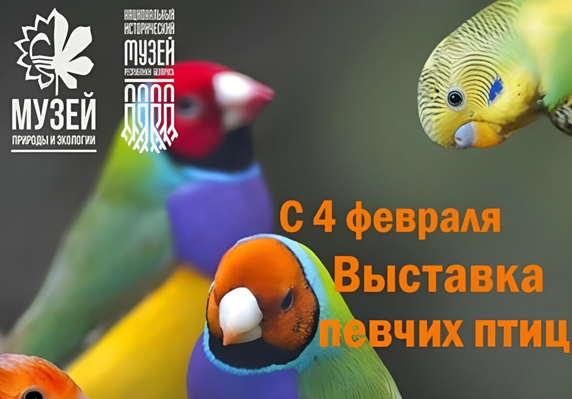 В Минске 4 февраля открылась экспозиция «Певчие птицы»