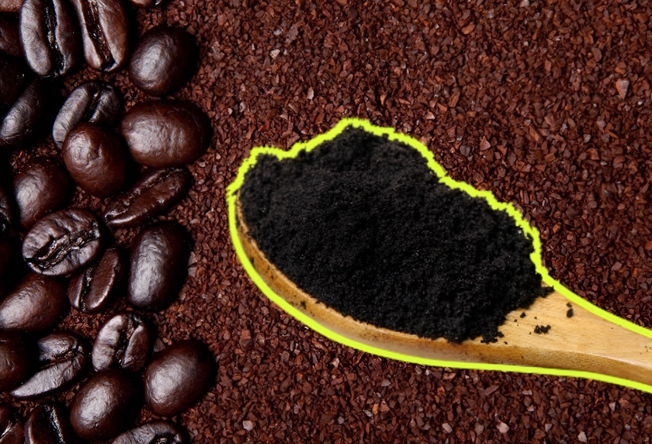 Не выбрасывайте кофейную гущу: 7 эффективных способов использования на кухне и даче