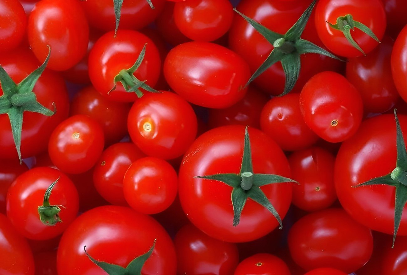 Как вырастить вкусные томаты: обратите внимание на 3 внешних признака у помидоров