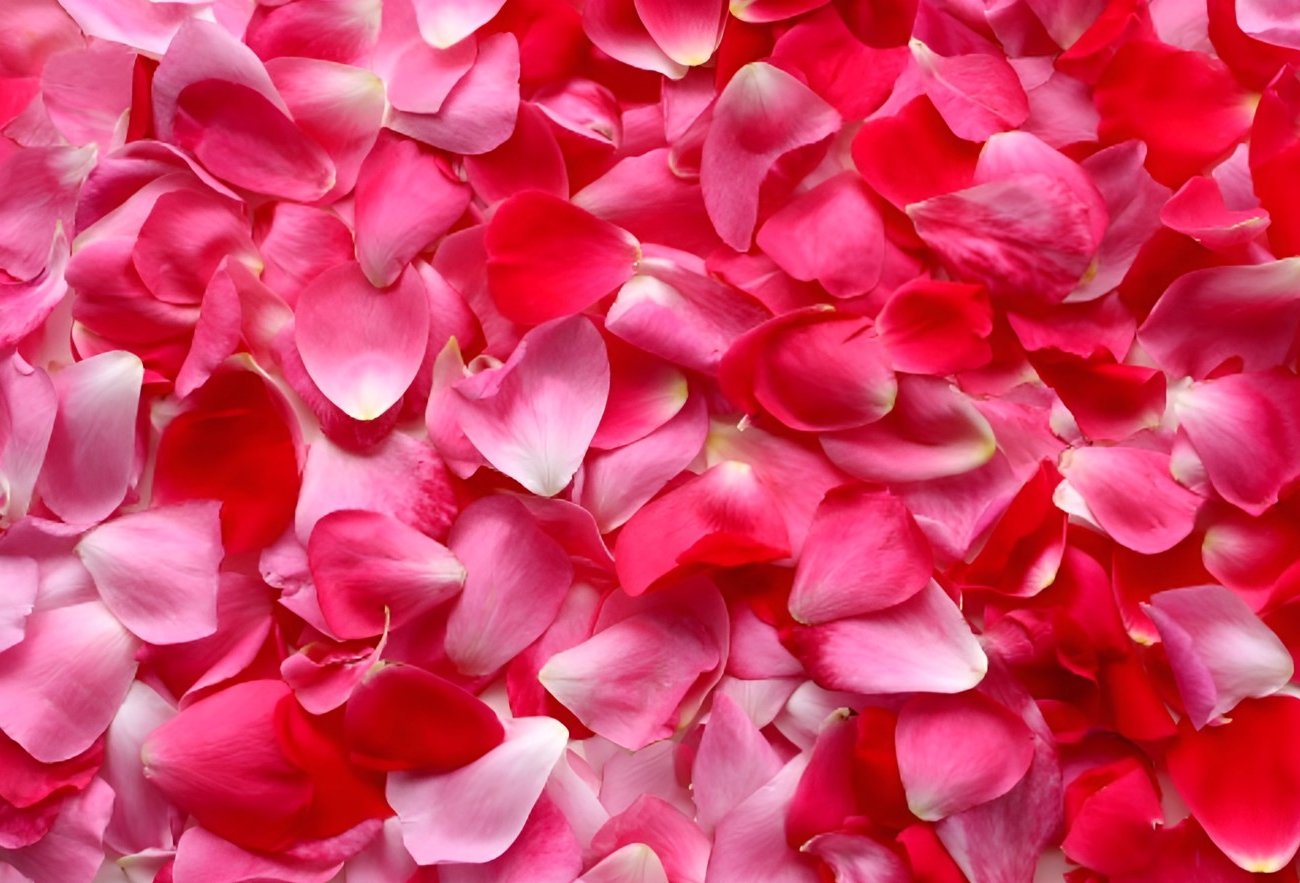 Не выкидывайте лепестки роз: 4 полезнейших способа применения для красоты и тела