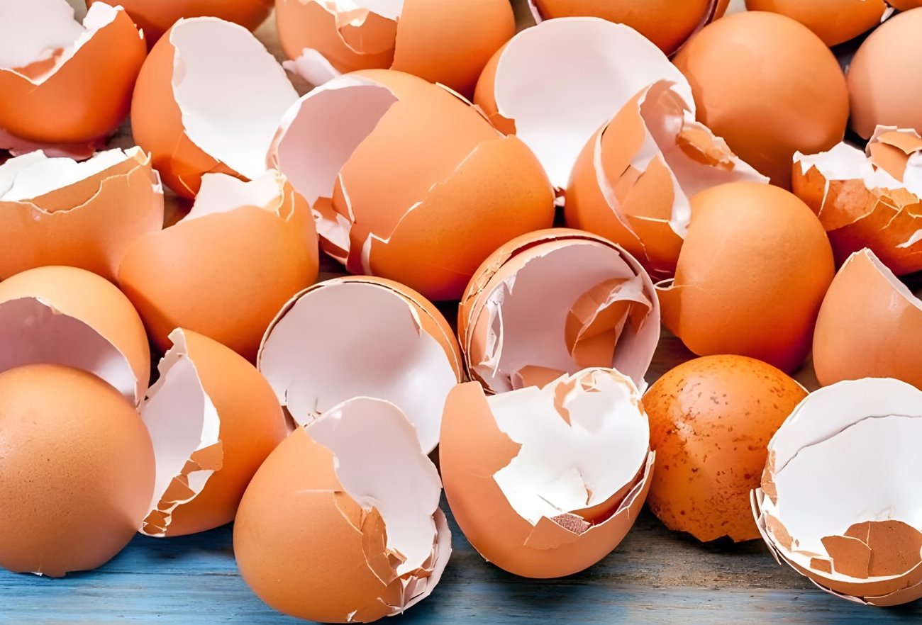 Не выбрасывайте яичную скорлупу: 8 полезнейших способов использования дома и на кухне