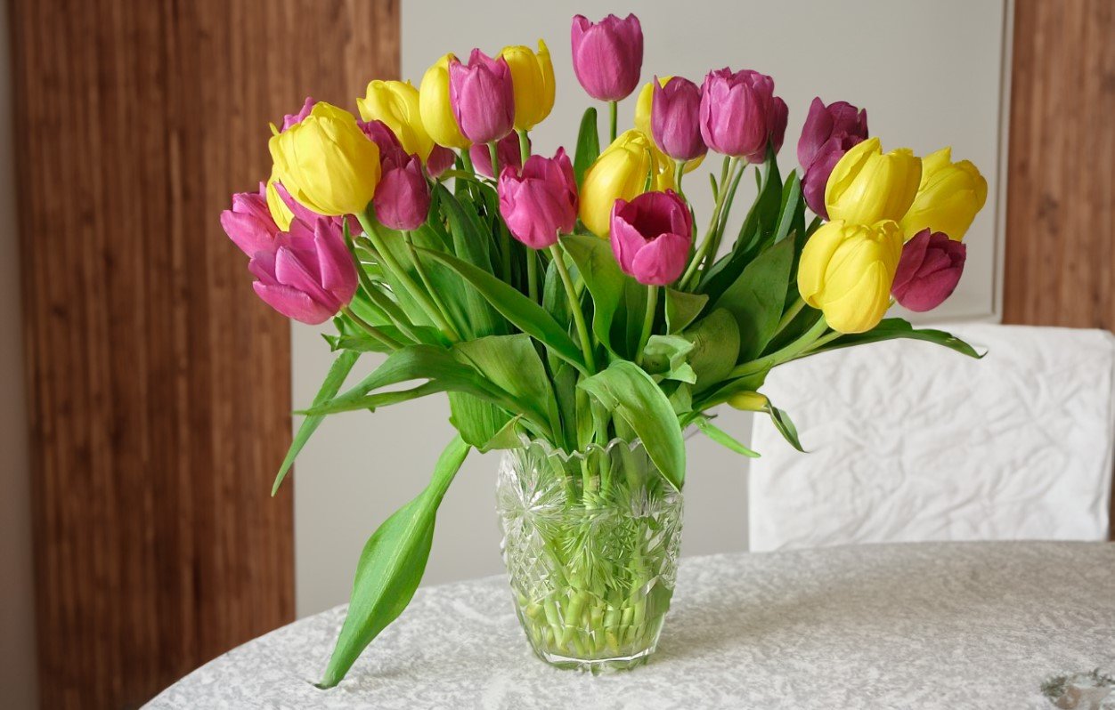 Тюльпаны удивят своим цветением: добавьте эту подкормку из раствора аммиачной селитры
