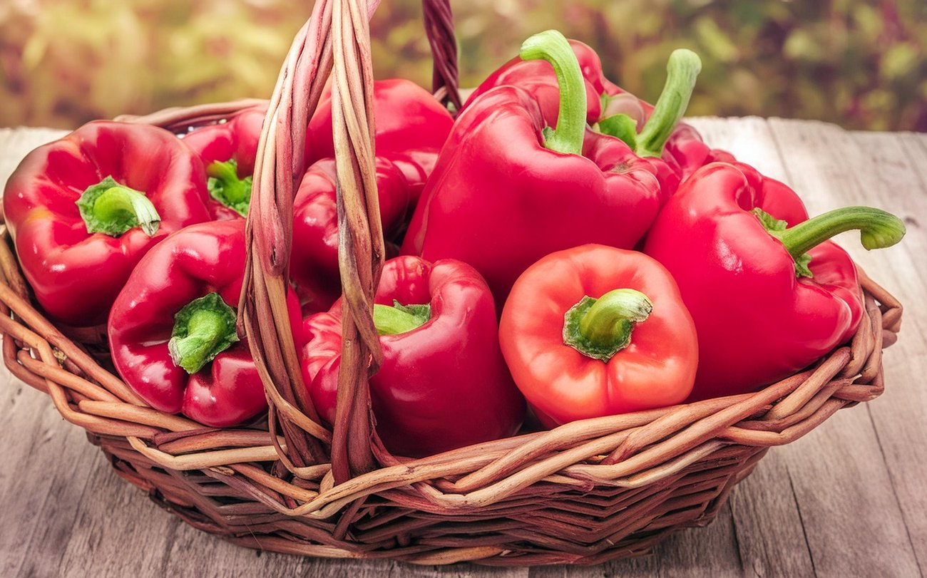 Богатый урожай перцев будет обеспечен: соблюдайте эти 6 советов по правильной подкормке рассады