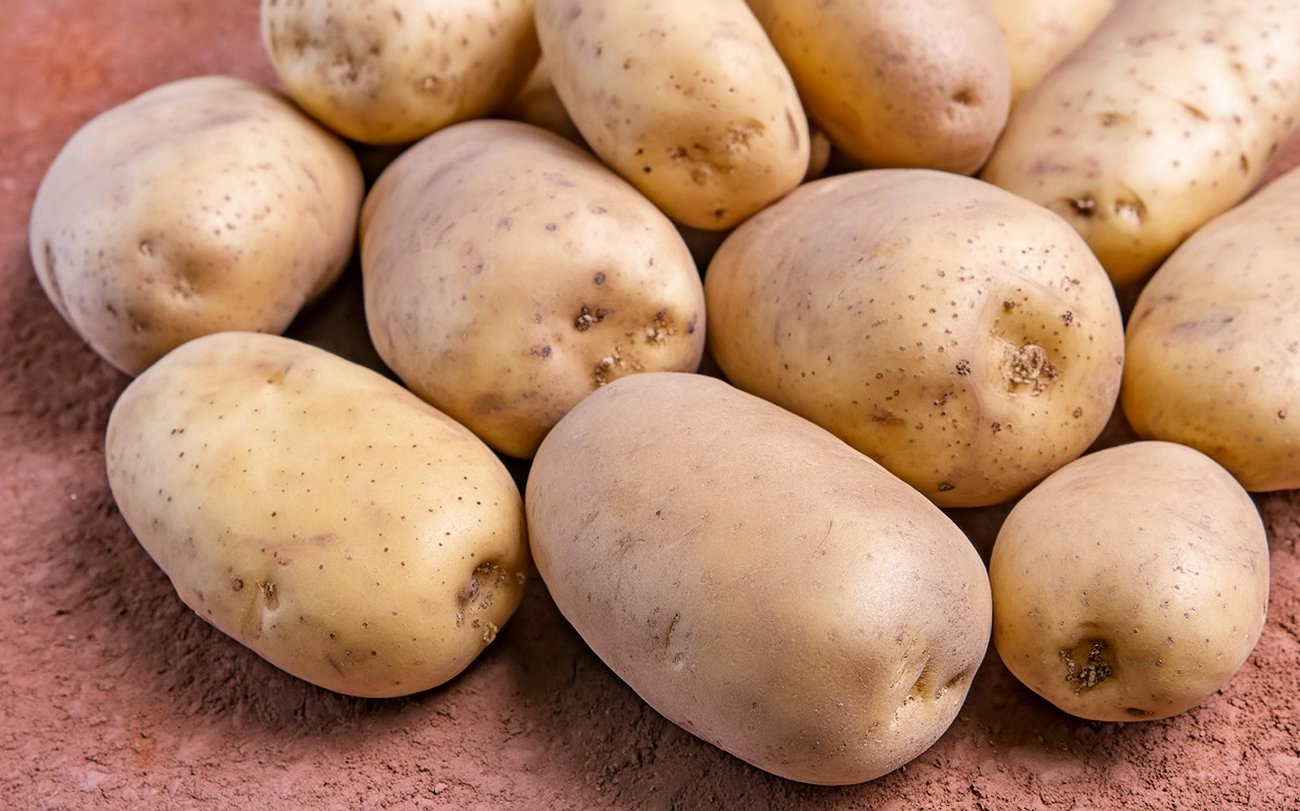 Чем подкармливают картофель опытные огородники: попробуйте эти эффективных 2 метода