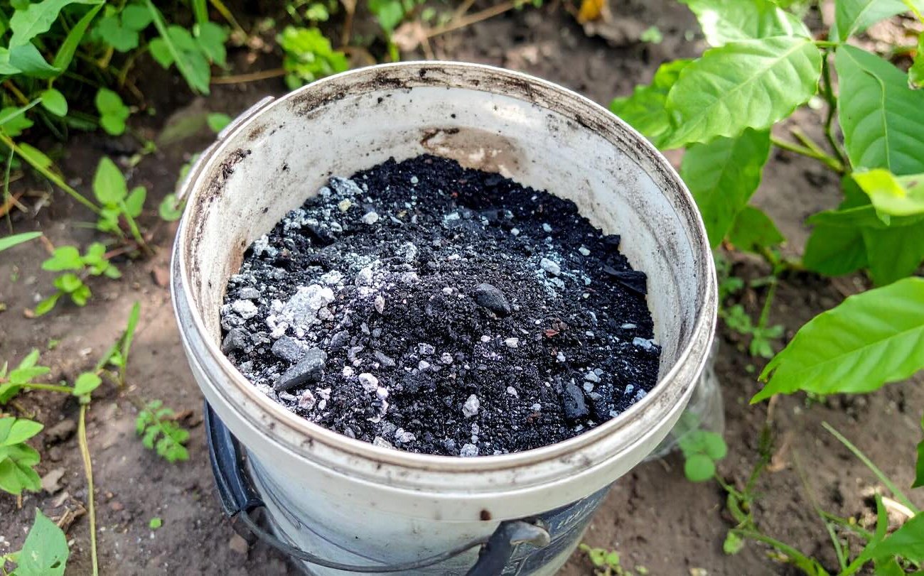 Чудо-удобрение из смеси золы с кофе: растения будут расти как на дрожжах