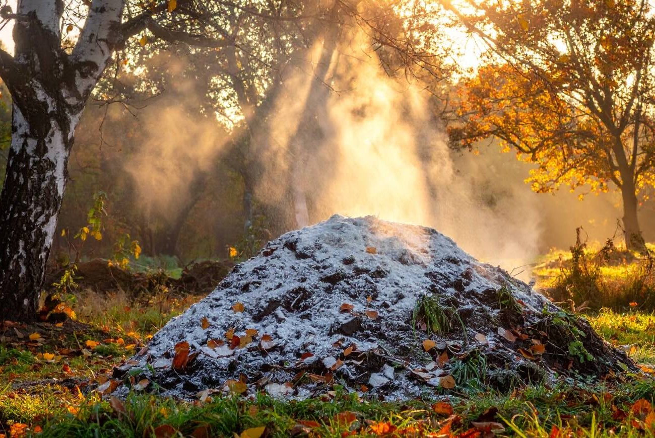 Компост станет как чернозем: простой способ ускорить созревание удобрения с помощью муки Компост станет как чернозем: простой способ ускорить созревание удобрения с помощью муки