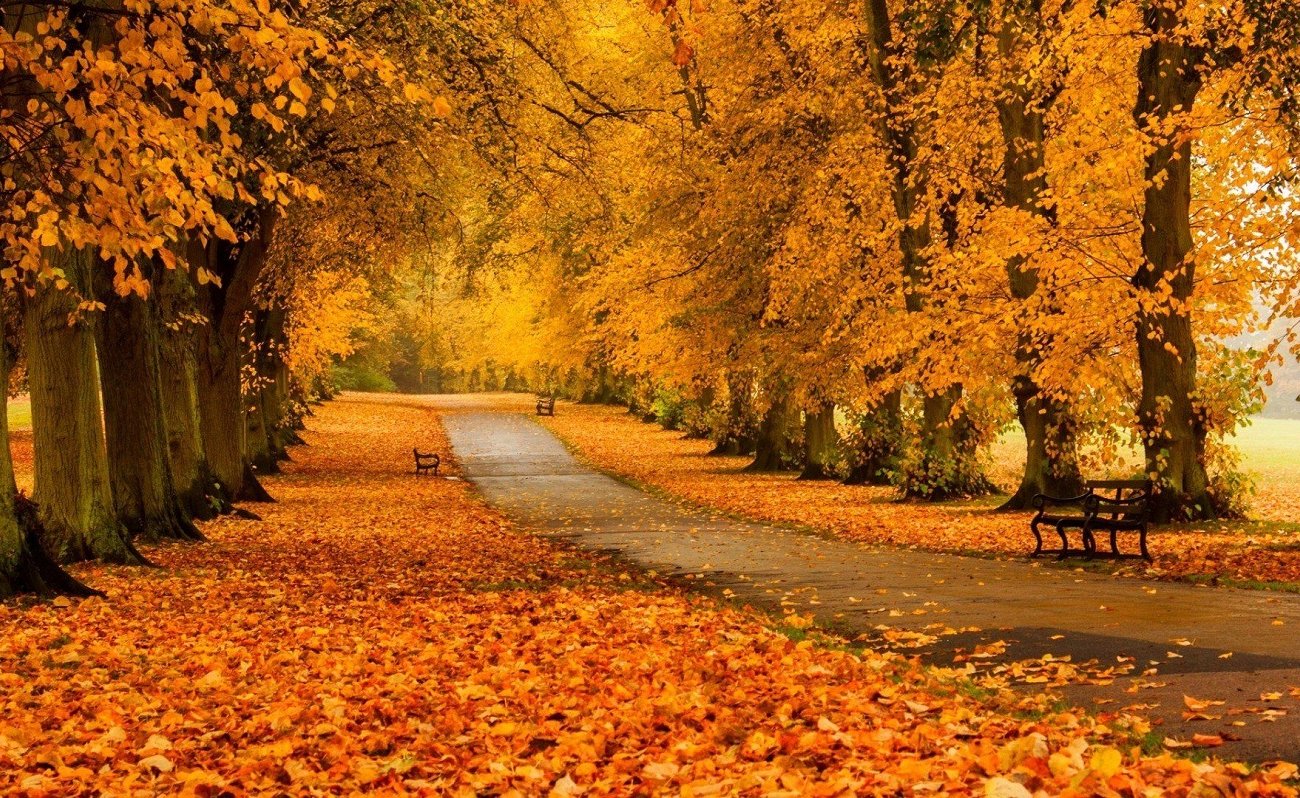 Настроение будет на высоте даже в пасмурные дни: 3 способа борьбы с осенней хандрой