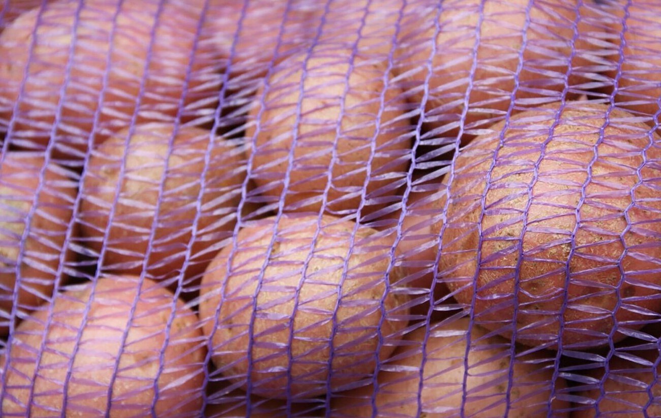 Не выбрасывайте сетки от картофеля и лука: они решают 5 проблем на дачном участке