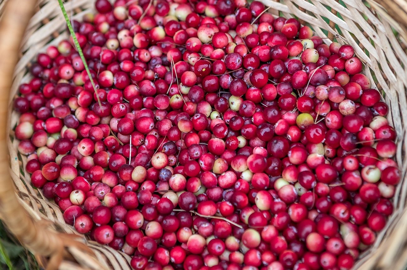 Не тратьте деньги на импортные суперфуды: эти доступные продукты работают не хуже