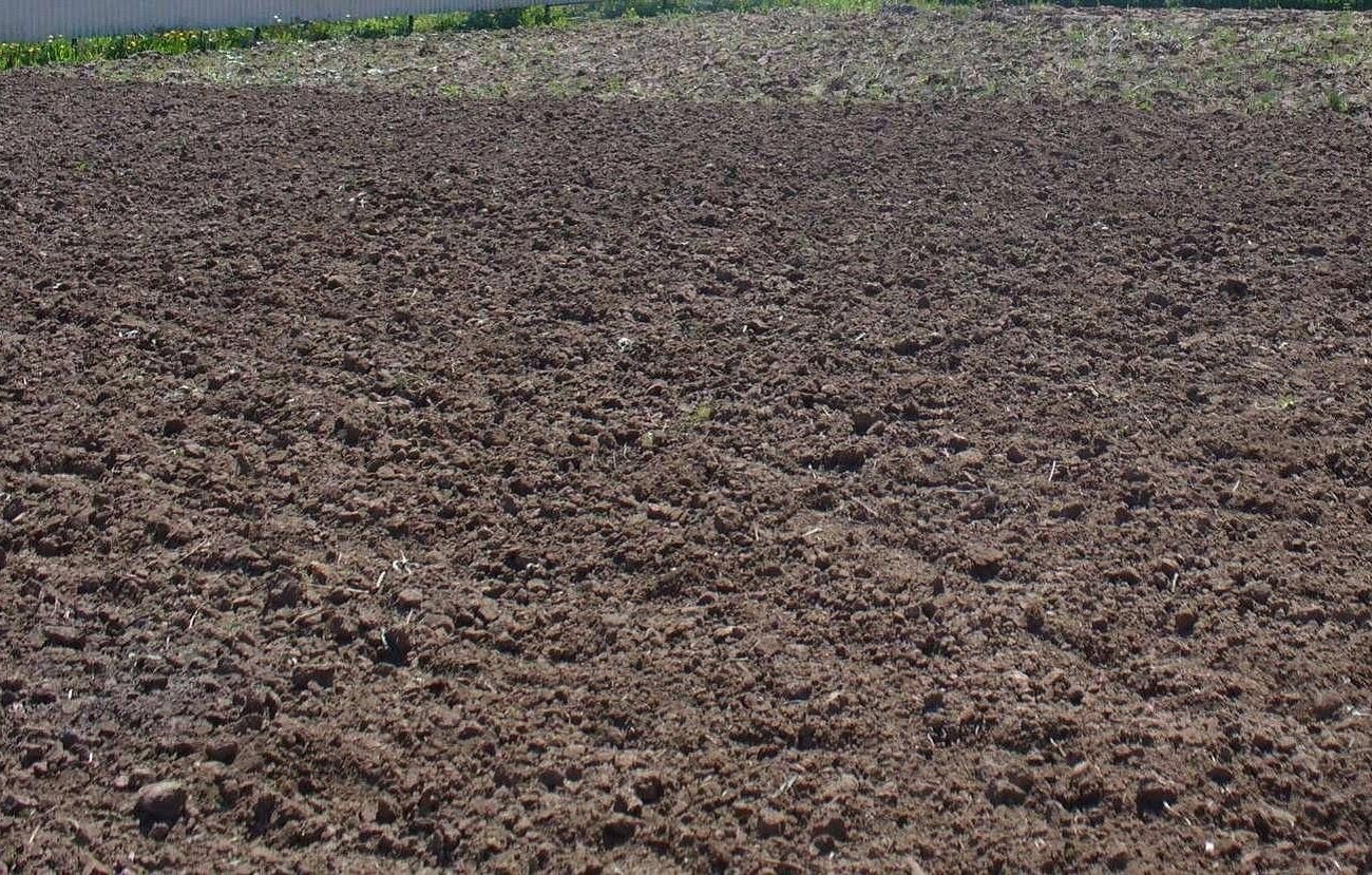 Почва превратится в жирный чернозем: запомните, чем удобрить участок до конца ноября