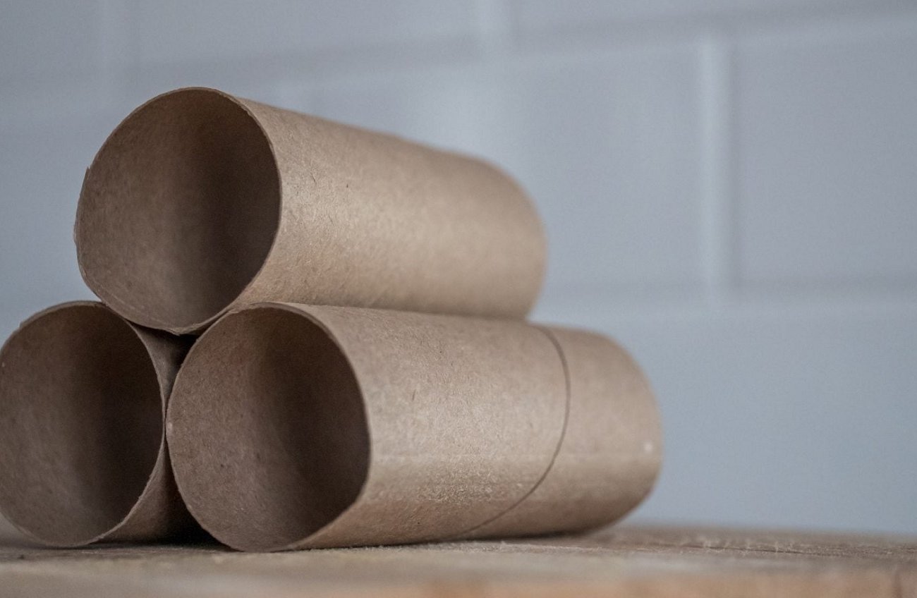 Собираю втулки от туалетной бумаги всю зиму и использую на даче: лайфхак от опытных огородников Собираю втулки от туалетной бумаги всю зиму и использую на даче: лайфхак от опытных огородников