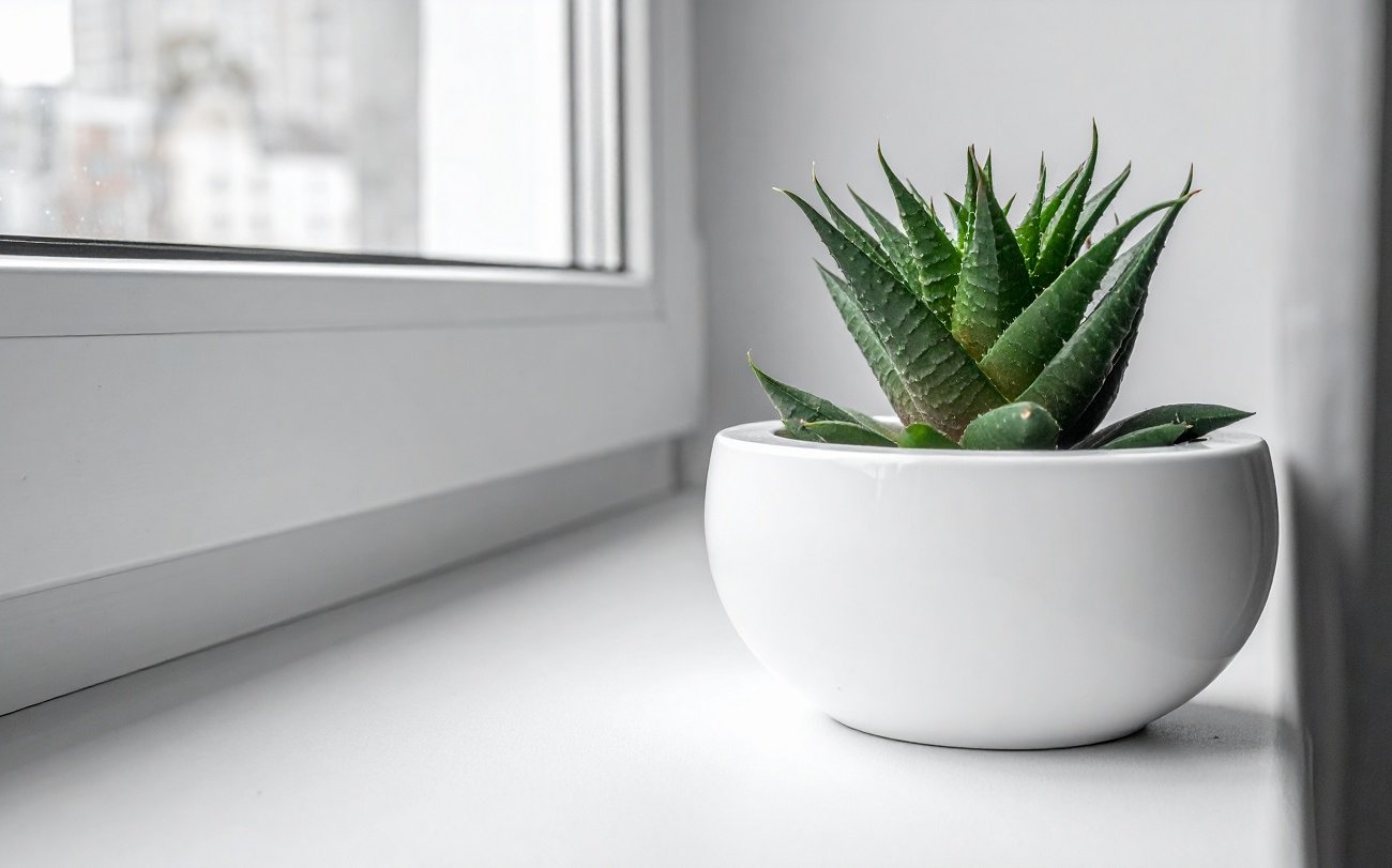 Пожелтевшие подоконники будут как новые за один раз: проверенный метод отбеливания пластика