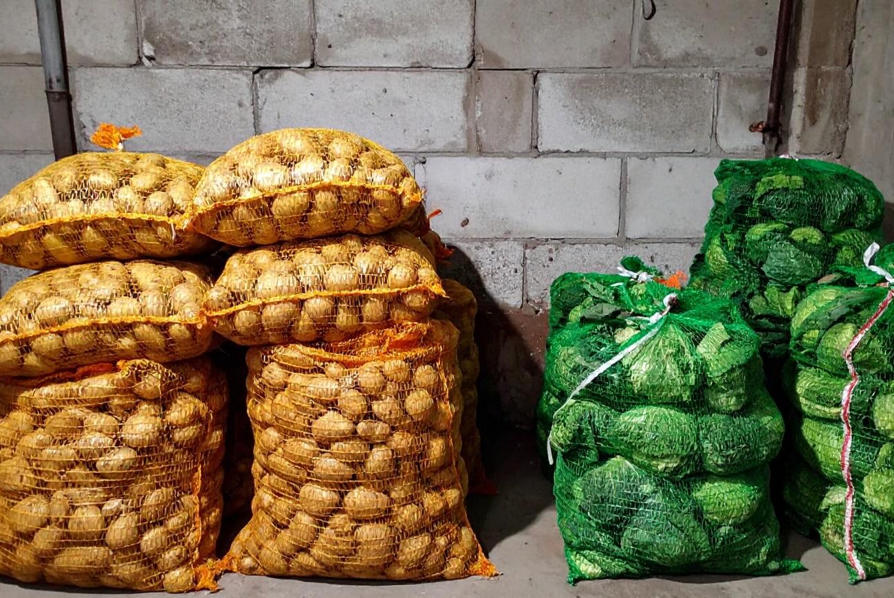 Погреб будет сухим круглый год: запомните 3 рабочих метода борьбы с сыростью