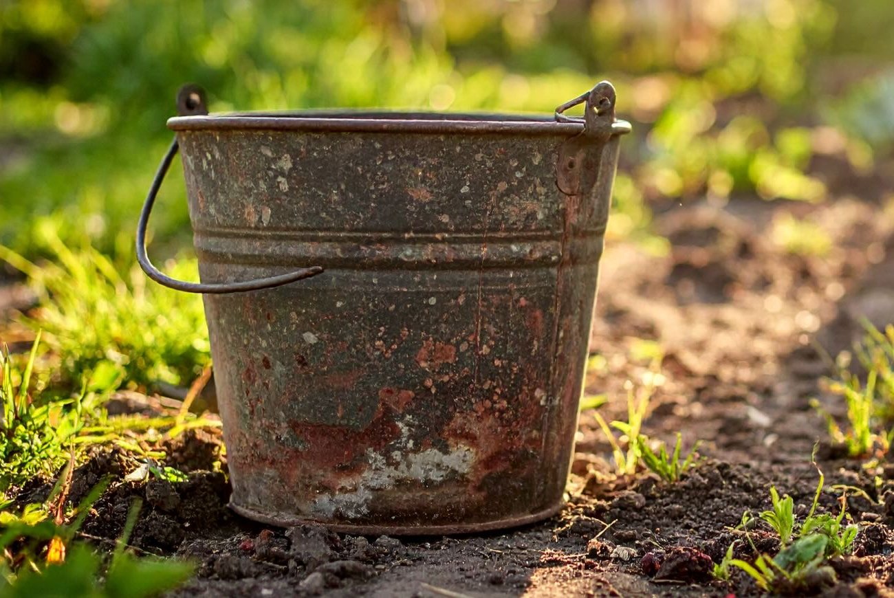 Больше не выбрасываю старые ведра: неожиданное применение на даче удивит результатом