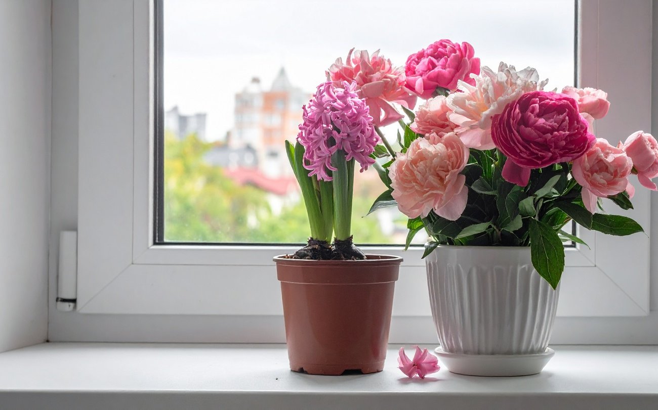 Превратила скучный подоконник в изюминку гостиной: 5 работающих идей для преображения пространства