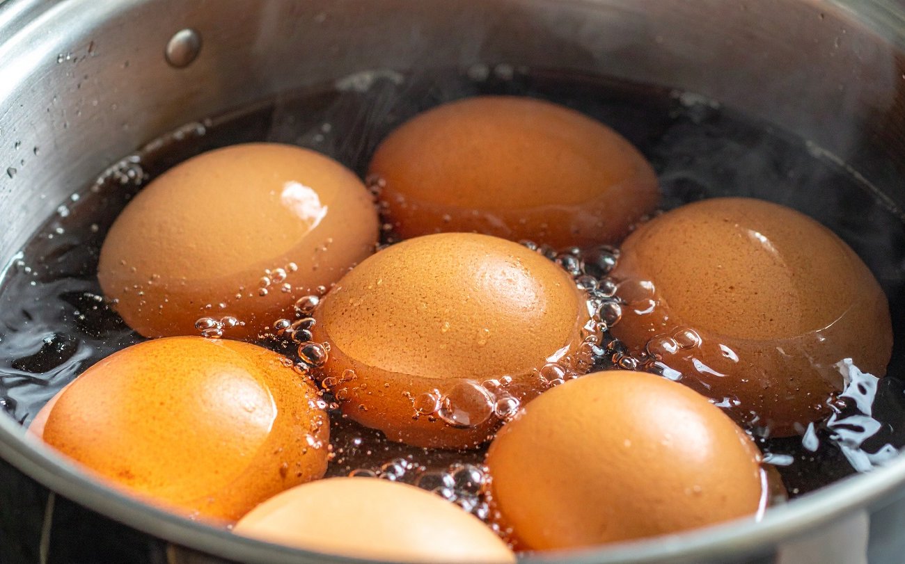 Не выливайте воду после варки яиц в раковину: отличное натуральное удобрение для цветов